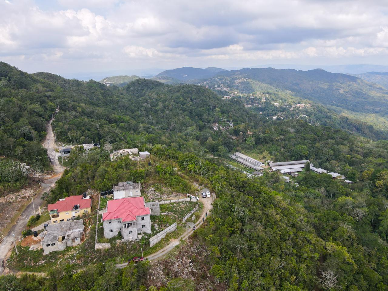 Twenty-Sixth image of 31 Coopers Hill in Kingston 19, St. Andrew, Jamaica - property is For Sale