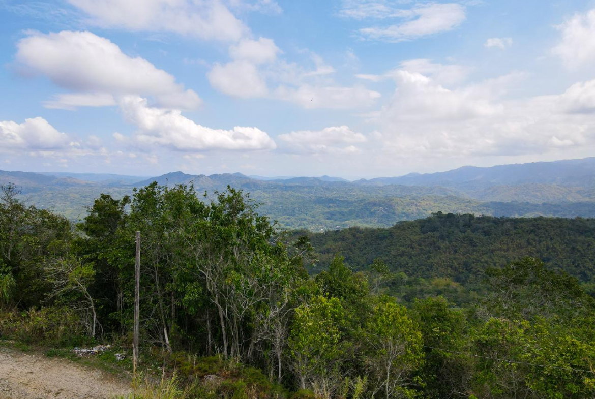 Twenty-Eighth image of 31 Coopers Hill in Kingston 19, St. Andrew, Jamaica - property is For Sale