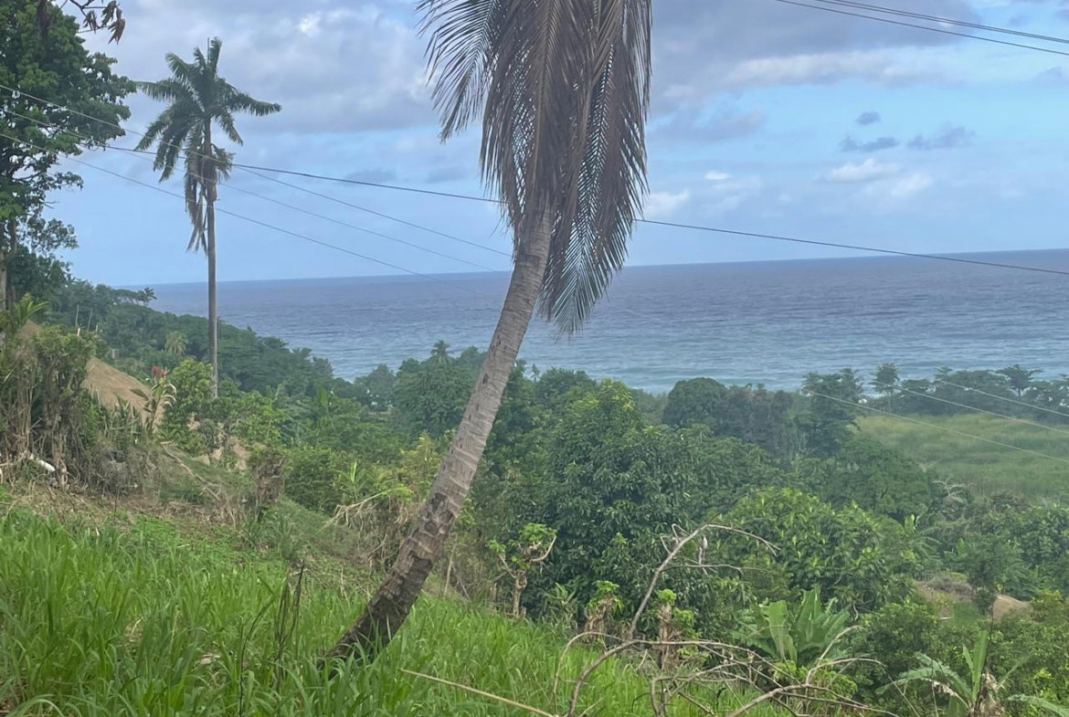 Fifteenth image of 2 Caenwood, Hope Bay in Hope Bay, Portland, Jamaica - property is For Sale