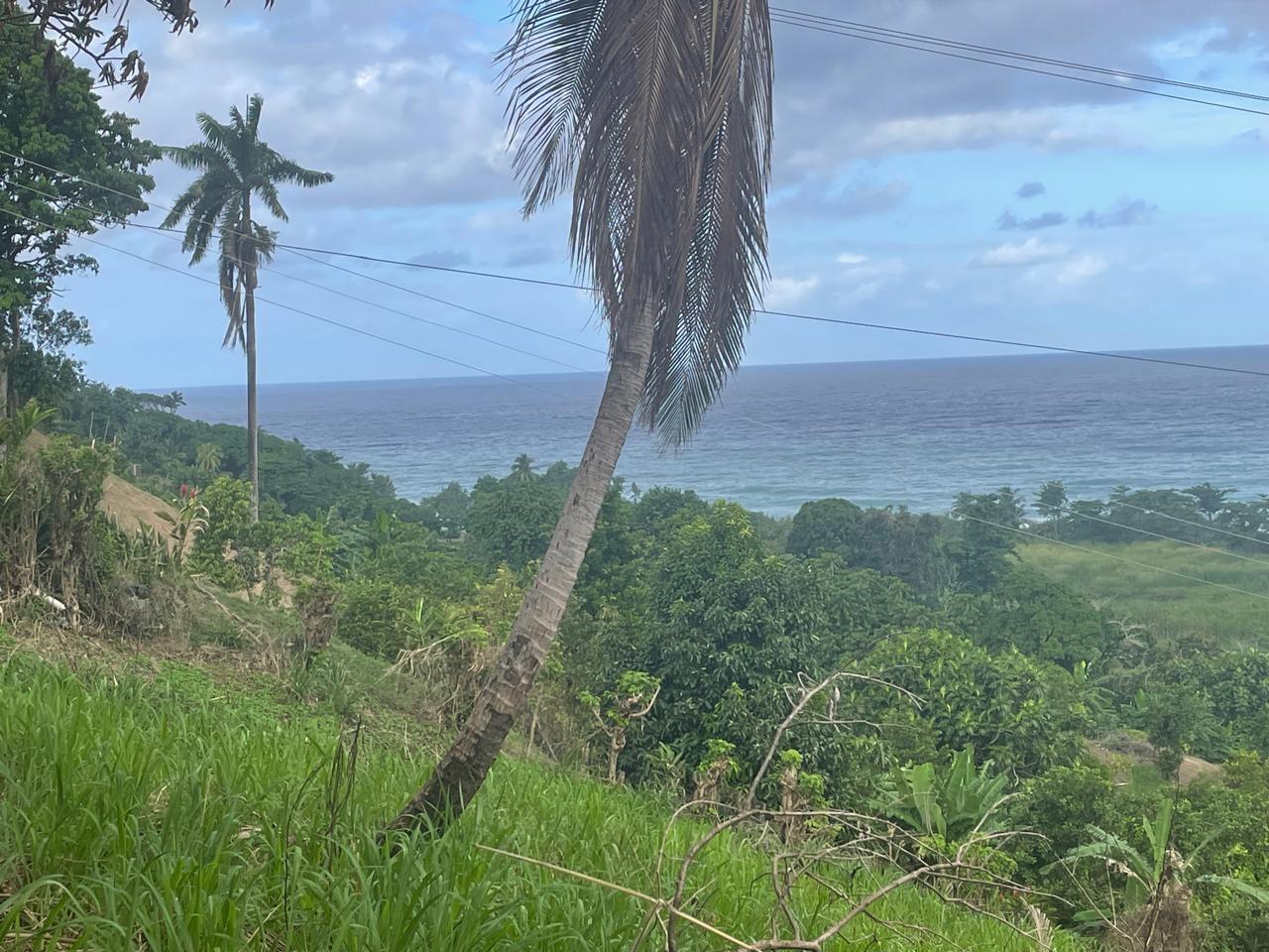 Fifteenth image of 2 Caenwood, Hope Bay in Hope Bay, Portland, Jamaica - property is For Sale