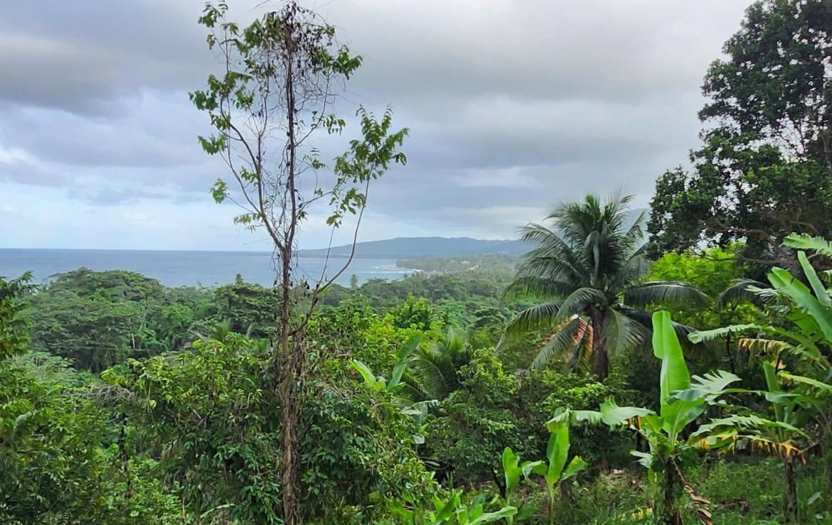 Fourth image of 2 Caenwood, Hope Bay in Hope Bay, Portland, Jamaica - property is For Sale