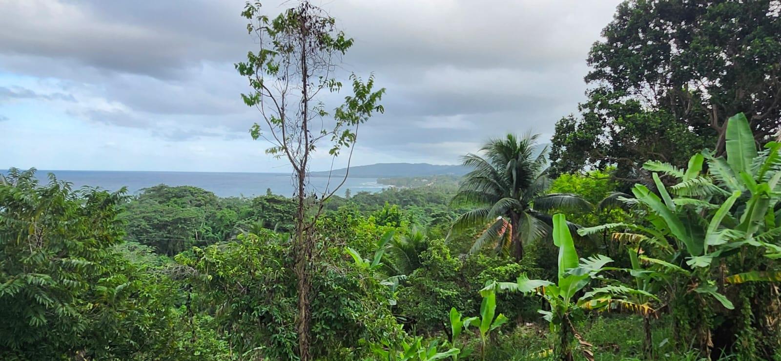 Fourth image of 2 Caenwood, Hope Bay in Hope Bay, Portland, Jamaica - property is For Sale