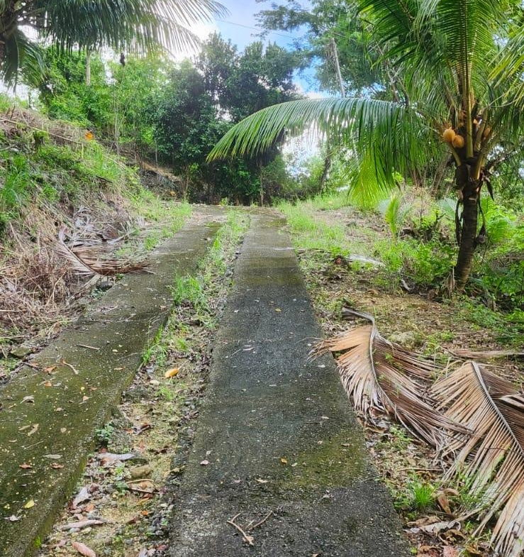 Fifth image of 2 Caenwood, Hope Bay in Hope Bay, Portland, Jamaica - property is For Sale
