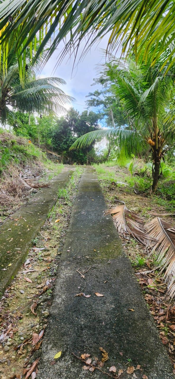 Fifth image of 2 Caenwood, Hope Bay in Hope Bay, Portland, Jamaica - property is For Sale