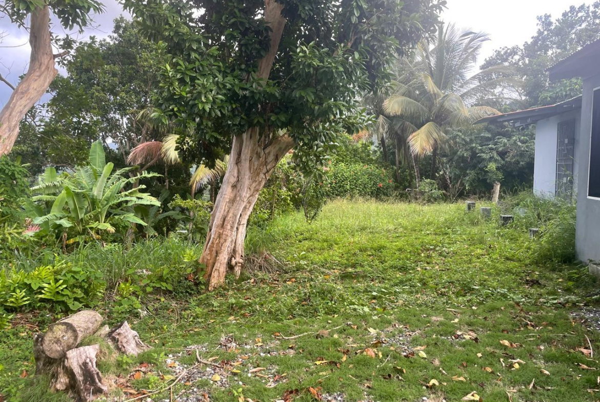 Sixth image of 2 Caenwood, Hope Bay in Hope Bay, Portland, Jamaica - property is For Sale