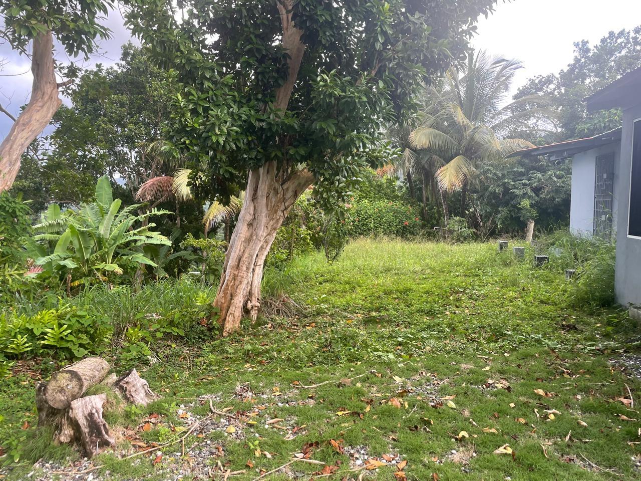 Sixth image of 2 Caenwood, Hope Bay in Hope Bay, Portland, Jamaica - property is For Sale