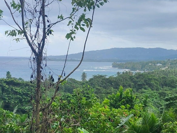 First image of 2 Caenwood, Hope Bay in Hope Bay, Portland, Jamaica - property is For Sale