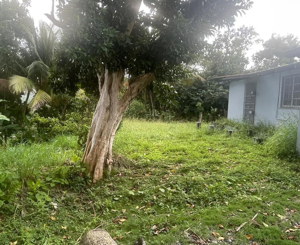 Seventh image of 2 Caenwood, Hope Bay in Hope Bay, Portland, Jamaica - property is For Sale