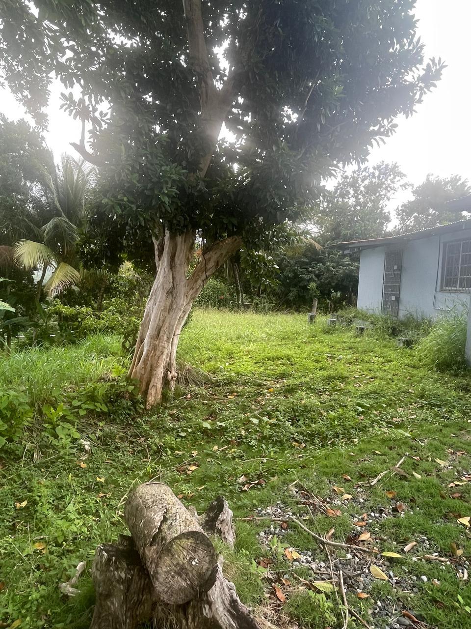 Seventh image of 2 Caenwood, Hope Bay in Hope Bay, Portland, Jamaica - property is For Sale