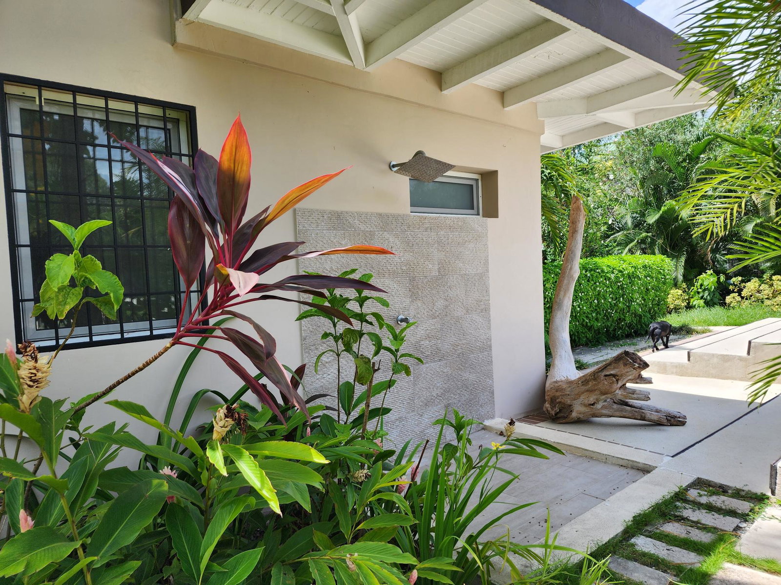 Third image of 9 Earls Court in Kingston 8, St. Andrew, Jamaica - property is For Rent