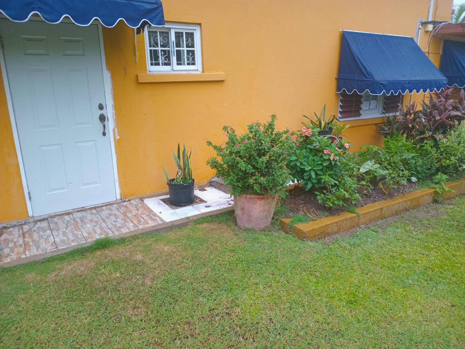 Second image of 2 Nicks Avenue in Kingston 6, St. Andrew, Jamaica - property is For Rent