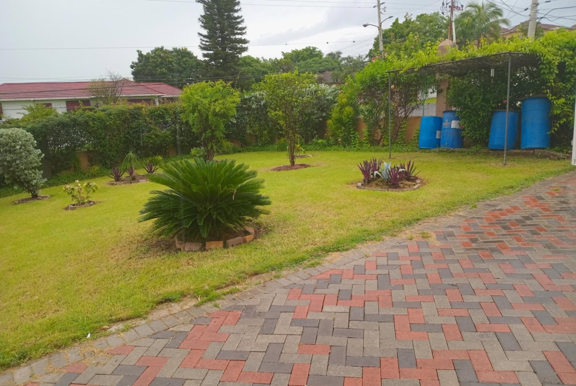 Twentieth image of 2 Nicks Avenue in Kingston 6, St. Andrew, Jamaica - property is For Rent