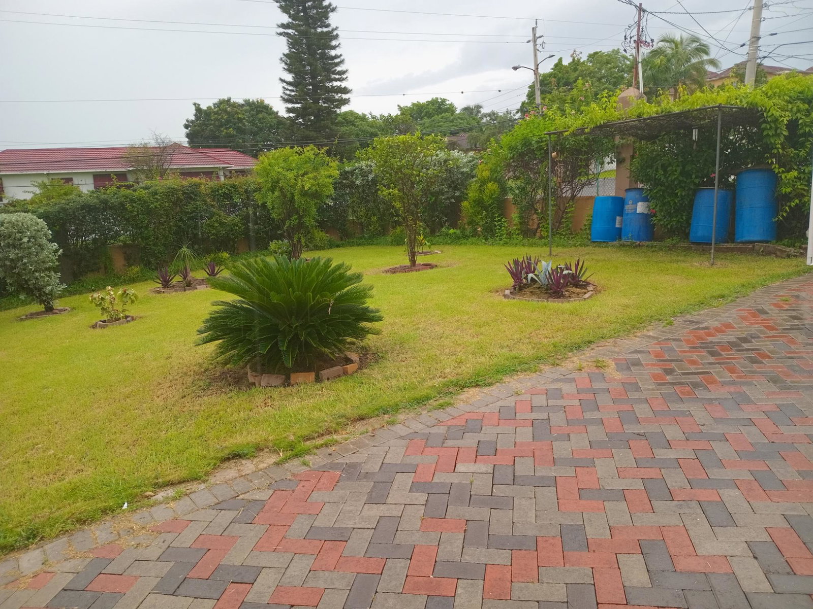 Twentieth image of 2 Nicks Avenue in Kingston 6, St. Andrew, Jamaica - property is For Rent