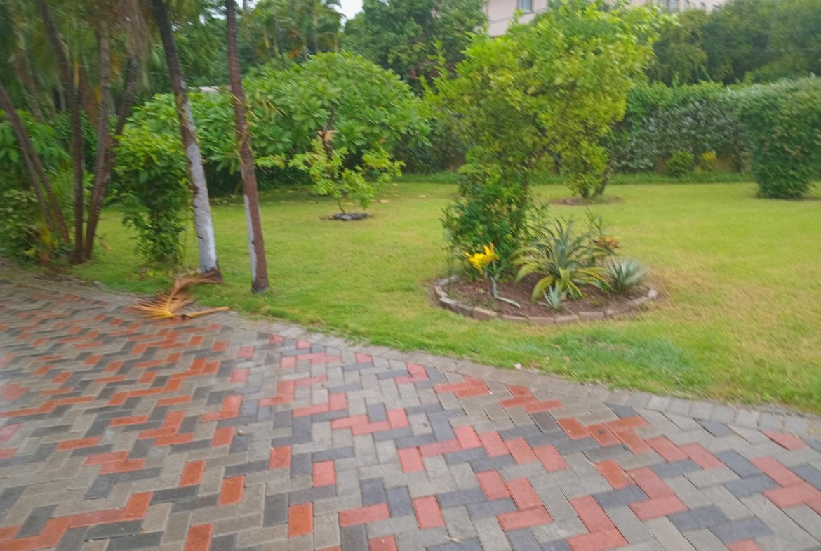 Twenty-First image of 2 Nicks Avenue in Kingston 6, St. Andrew, Jamaica - property is For Rent