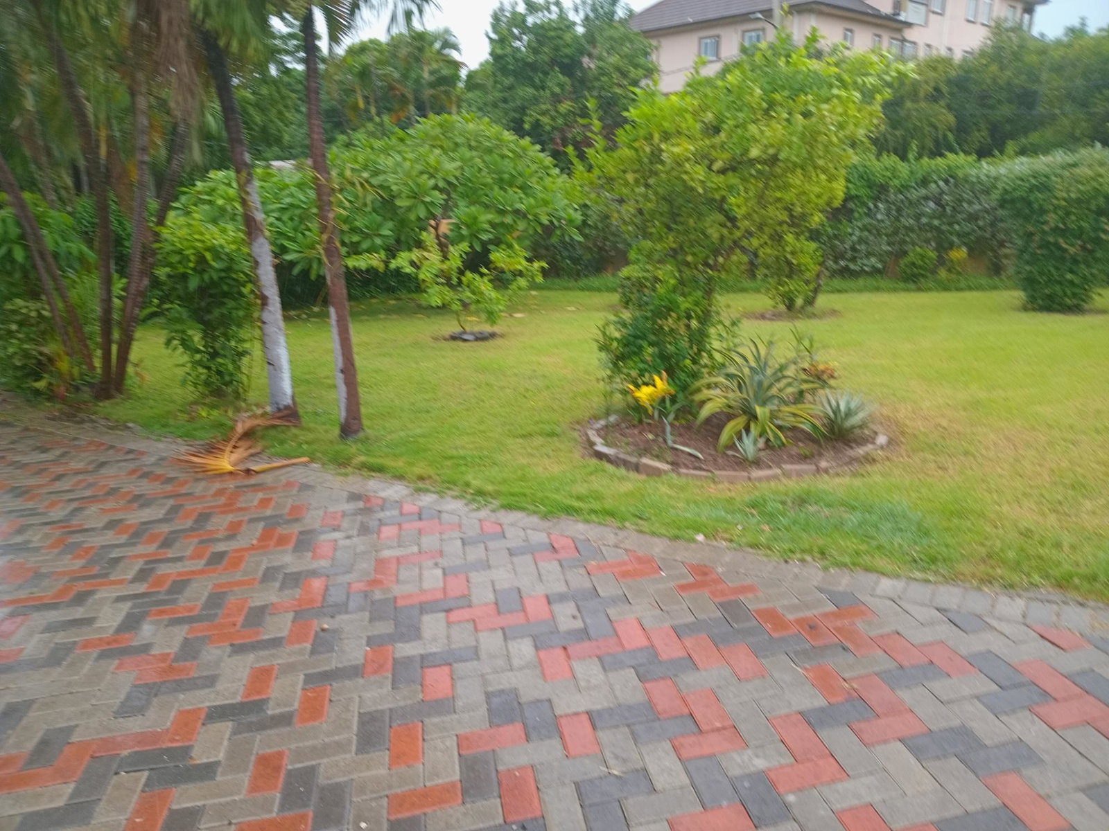 Twenty-First image of 2 Nicks Avenue in Kingston 6, St. Andrew, Jamaica - property is For Rent