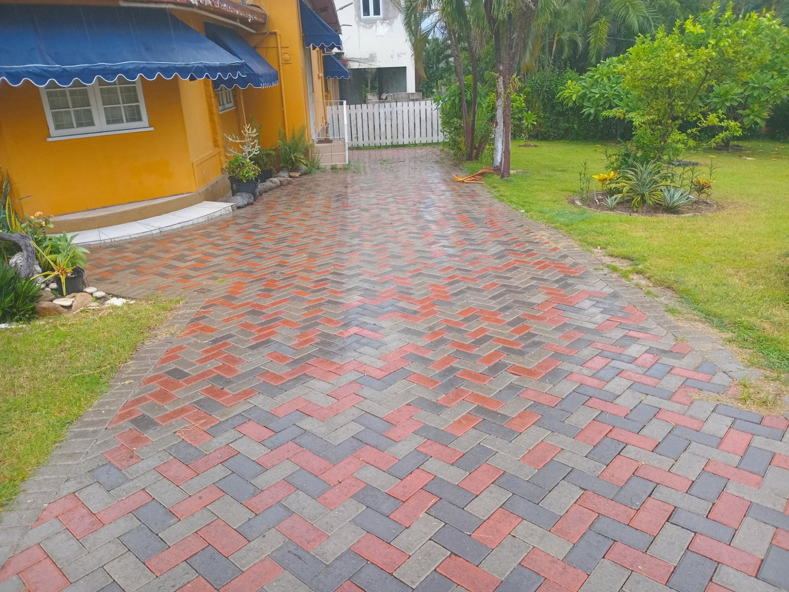Twenty-Second image of 2 Nicks Avenue in Kingston 6, St. Andrew, Jamaica - property is For Rent