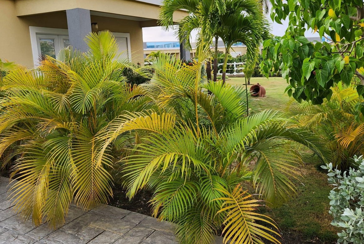 Second image of 66- Drax Hall, Marina Villa in Drax Hall Estate, St. Ann, Jamaica - property is For Sale