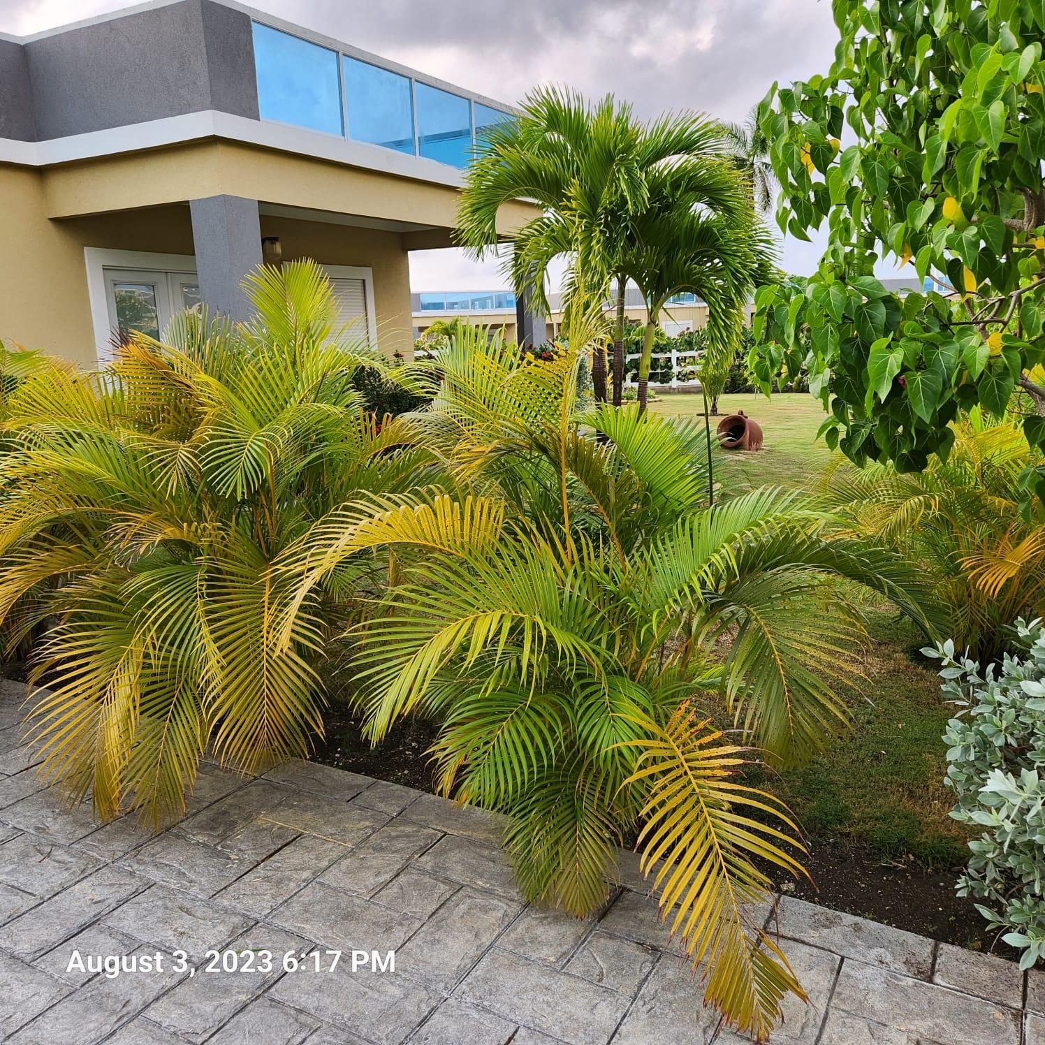 Second image of 66- Drax Hall, Marina Villa in Drax Hall Estate, St. Ann, Jamaica - property is For Sale