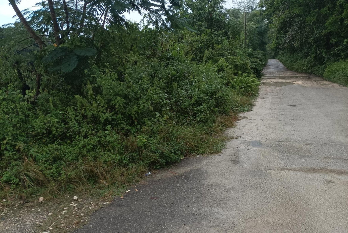 Eleventh image of Golden Grove Pen, Hanover in Chichester, Hanover, Jamaica - property is For Sale