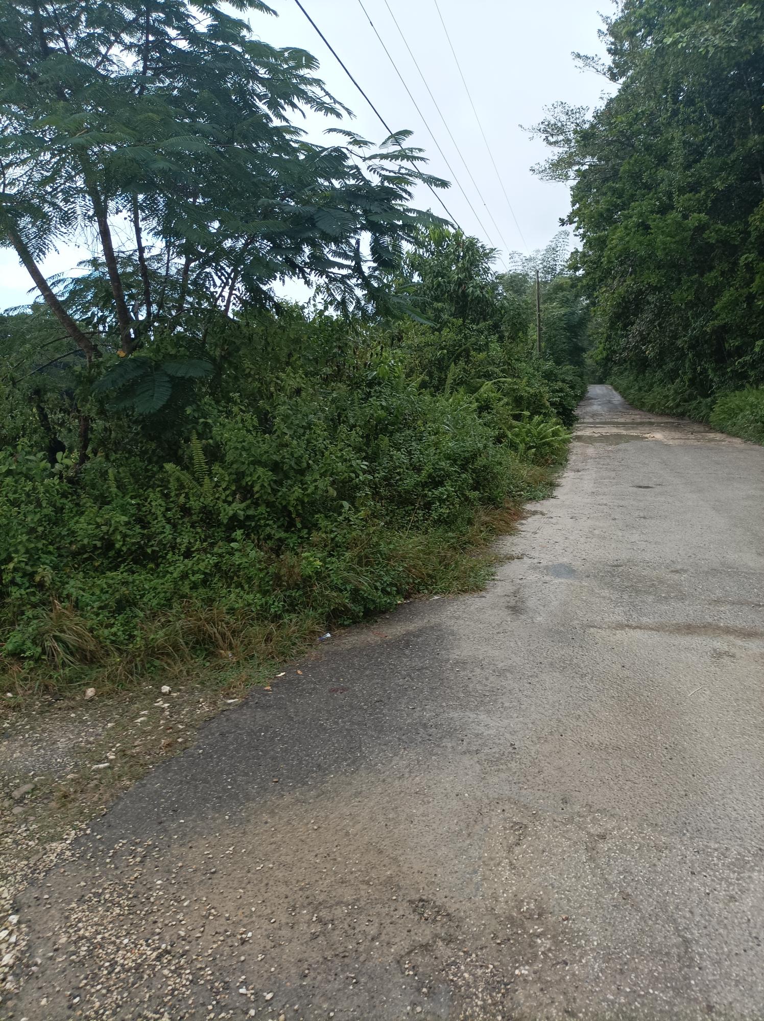 Eleventh image of Golden Grove Pen, Hanover in Chichester, Hanover, Jamaica - property is For Sale
