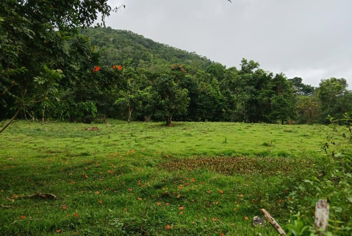 First image of Golden Grove Pen, Hanover in Chichester, Hanover, Jamaica - property is For Sale