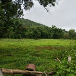 First image of Golden Grove Pen, Hanover in Chichester, Hanover, Jamaica - property is For Sale