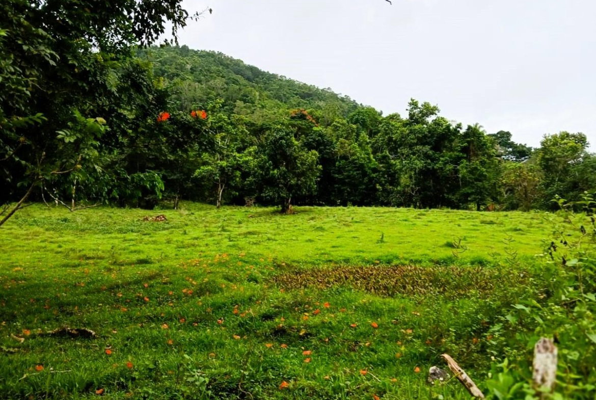 Third image of Golden Grove Pen, Hanover in Chichester, Hanover, Jamaica - property is For Sale