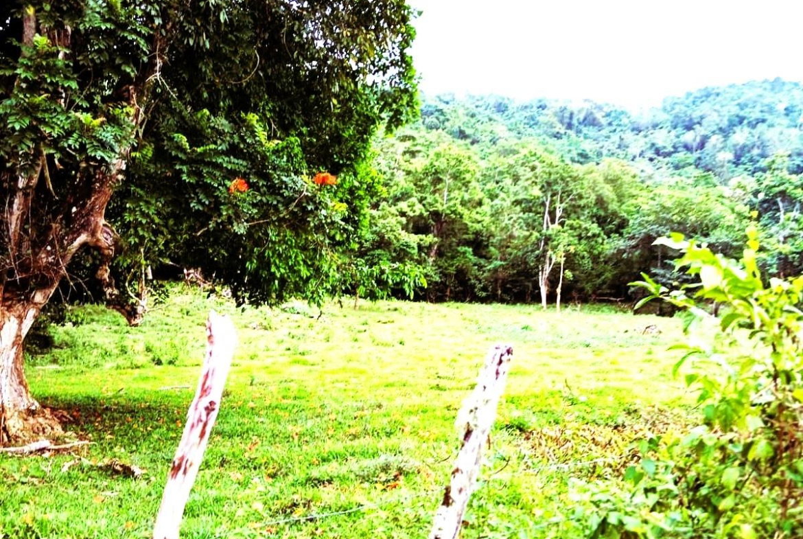 Fourth image of Golden Grove Pen, Hanover in Chichester, Hanover, Jamaica - property is For Sale