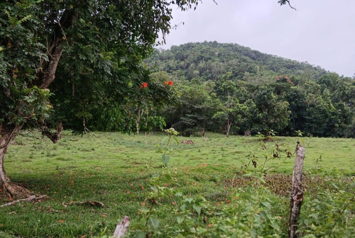 Fifth image of Golden Grove Pen, Hanover in Chichester, Hanover, Jamaica - property is For Sale