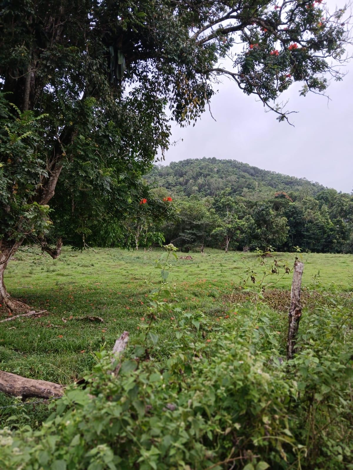 Fifth image of Golden Grove Pen, Hanover in Chichester, Hanover, Jamaica - property is For Sale