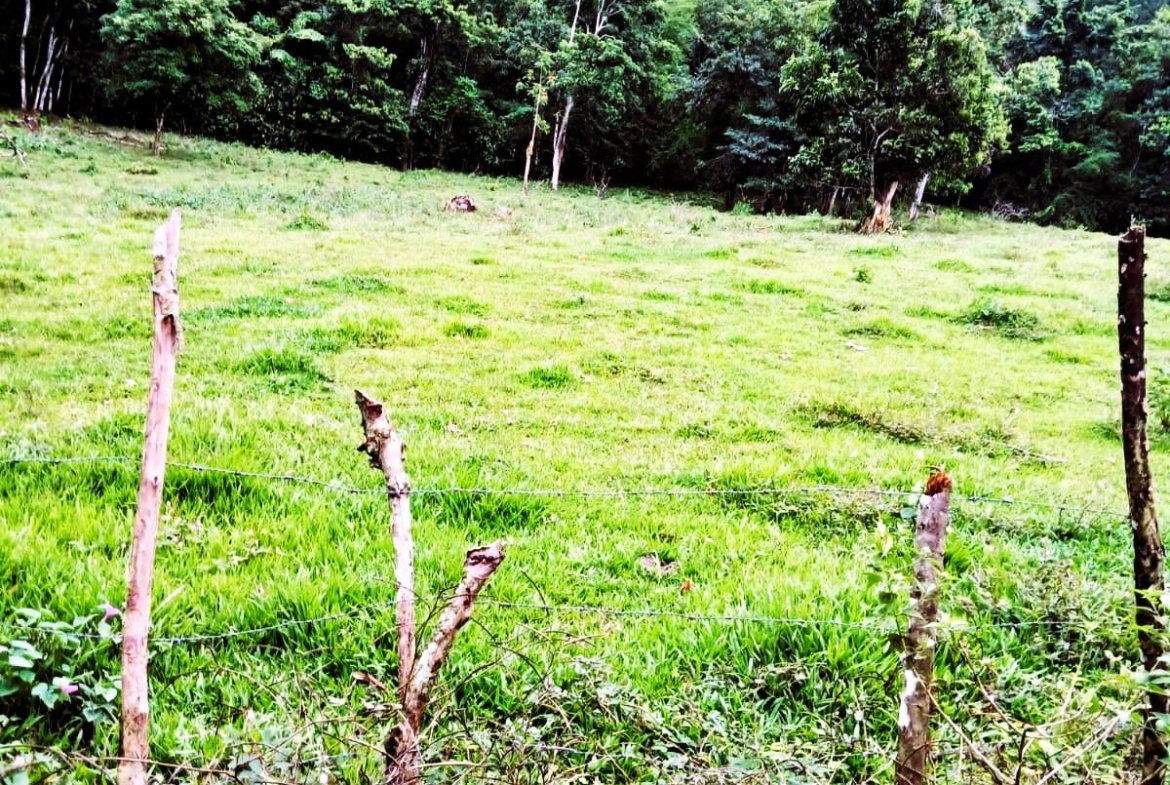 Sixth image of Golden Grove Pen, Hanover in Chichester, Hanover, Jamaica - property is For Sale