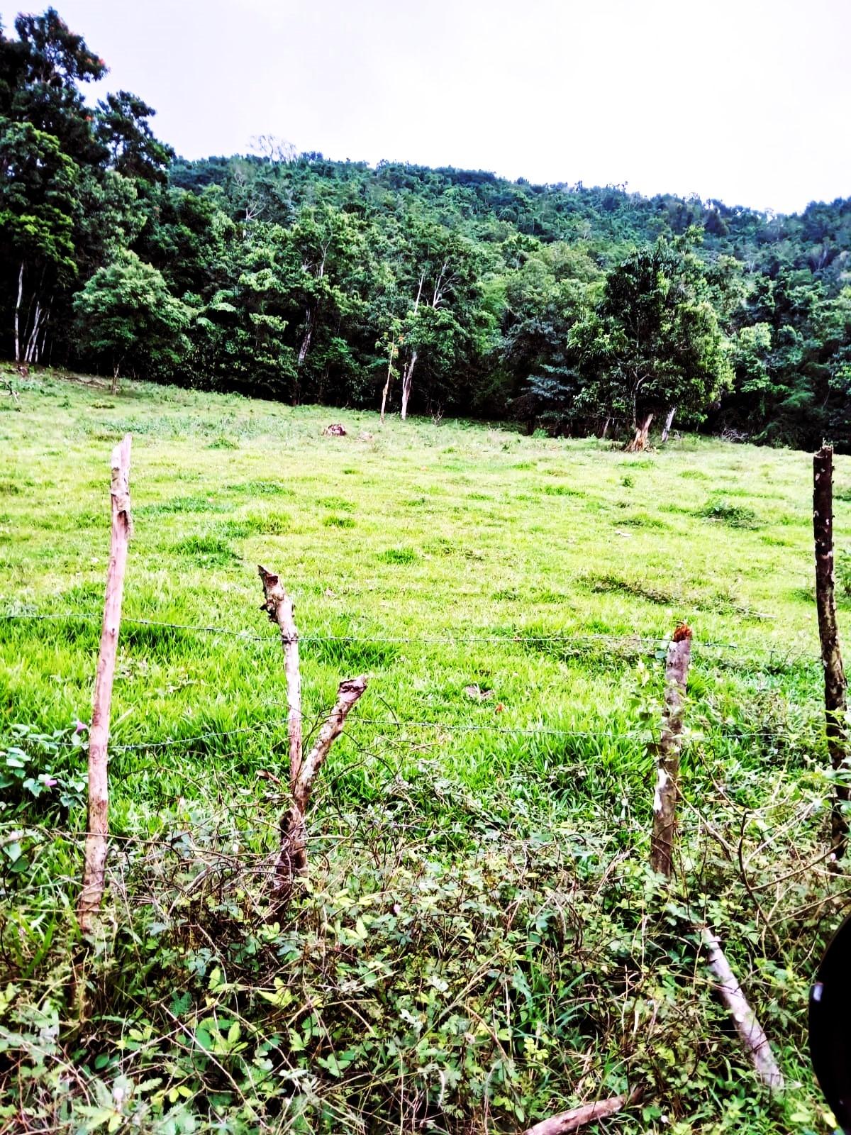 Sixth image of Golden Grove Pen, Hanover in Chichester, Hanover, Jamaica - property is For Sale