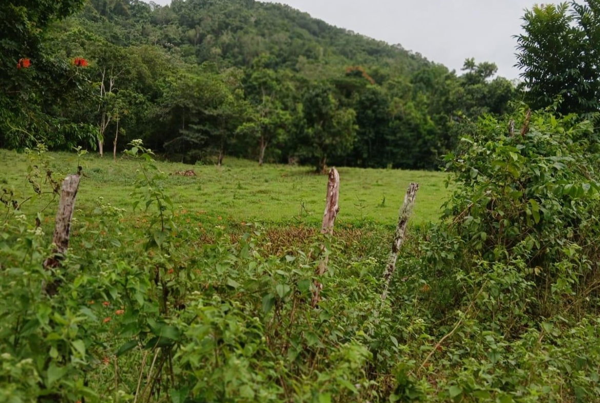 Eighth image of Golden Grove Pen, Hanover in Chichester, Hanover, Jamaica - property is For Sale