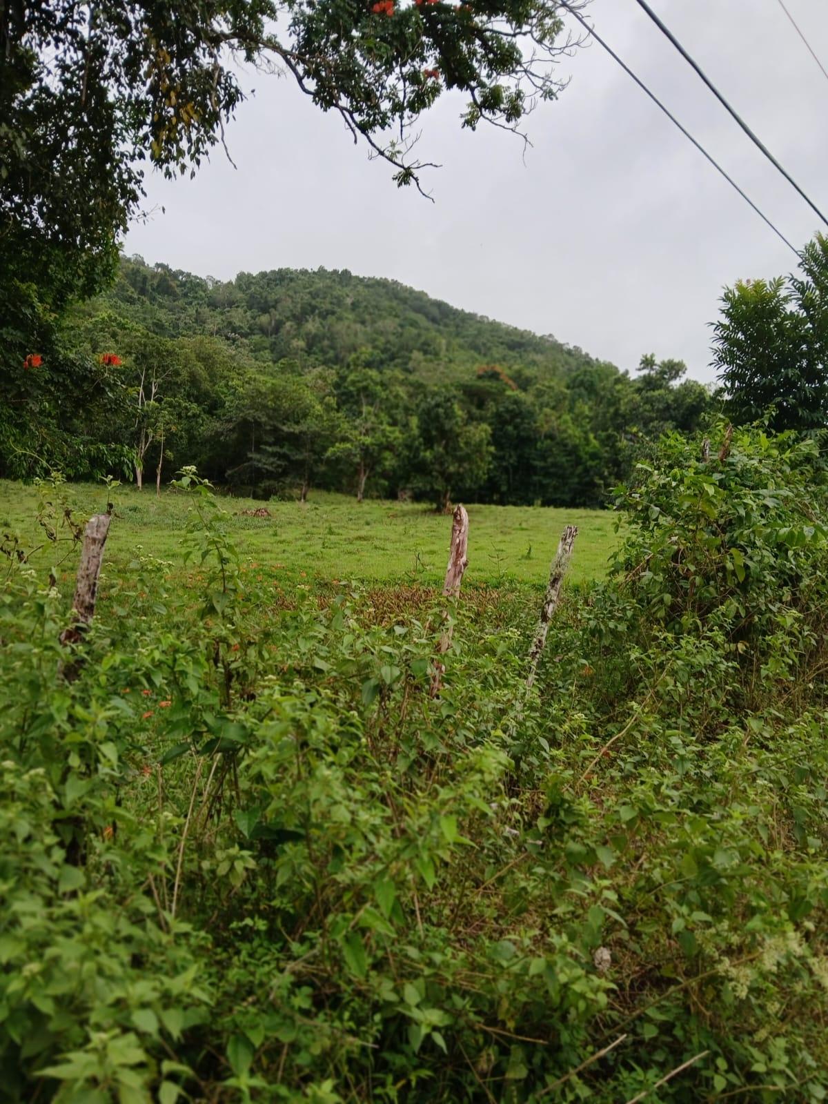 Eighth image of Golden Grove Pen, Hanover in Chichester, Hanover, Jamaica - property is For Sale