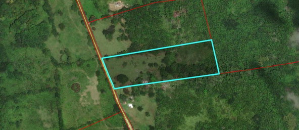Tenth image of Golden Grove Pen, Hanover in Chichester, Hanover, Jamaica - property is For Sale