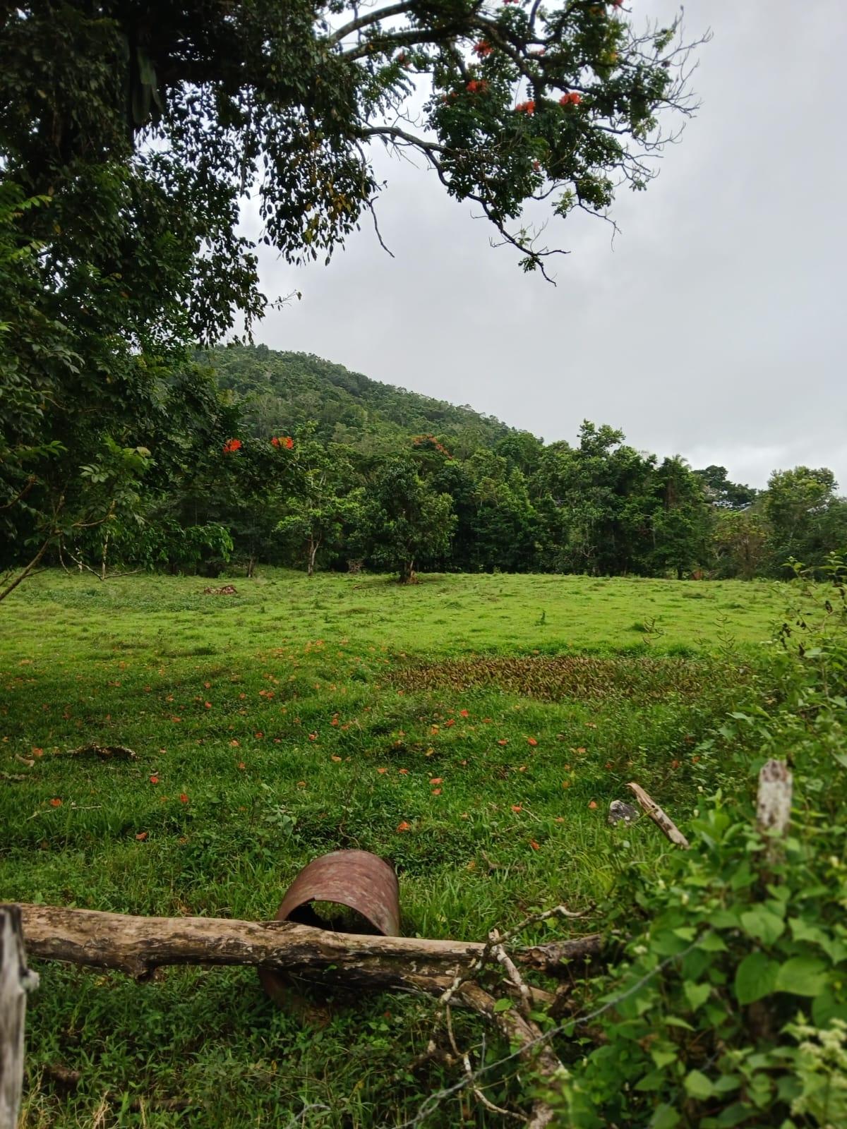 First image of Golden Grove Pen, Hanover in Chichester, Hanover, Jamaica - property is For Sale