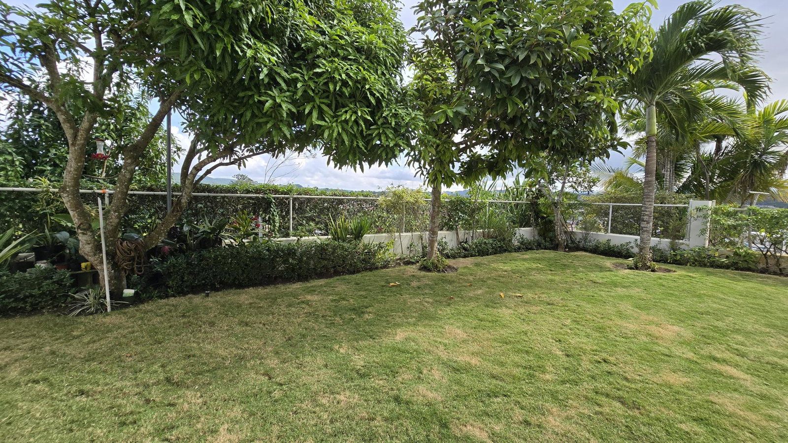 Twenty-Fifth image of 246 Allspice Close, Meadows o in Irwin, St. James, Jamaica - property is For Rent