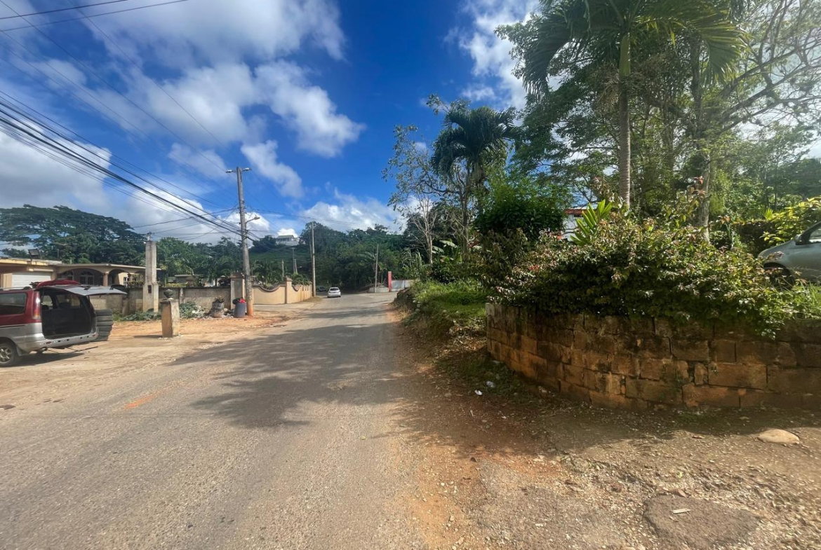 Eleventh image of Land Part of Meldrum High in Alexandria, St. Ann, Jamaica - property is For Sale