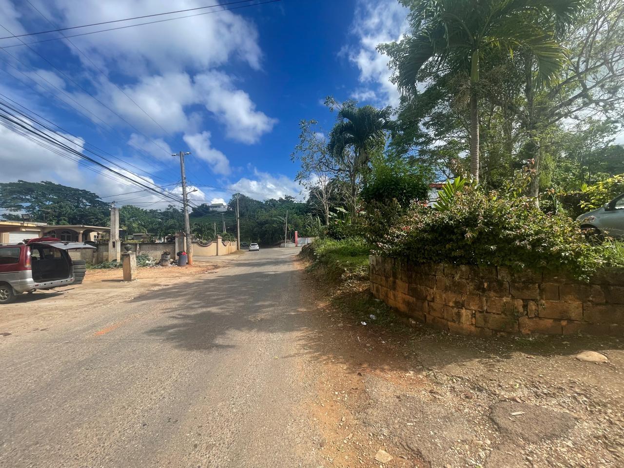Eleventh image of Land Part of Meldrum High in Alexandria, St. Ann, Jamaica - property is For Sale
