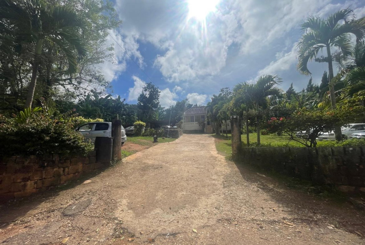 Twelfth image of Land Part of Meldrum High in Alexandria, St. Ann, Jamaica - property is For Sale