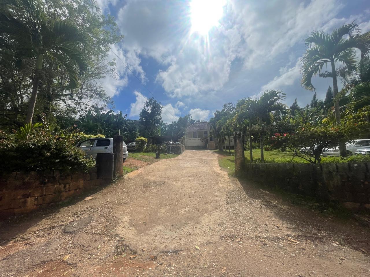 Twelfth image of Land Part of Meldrum High in Alexandria, St. Ann, Jamaica - property is For Sale