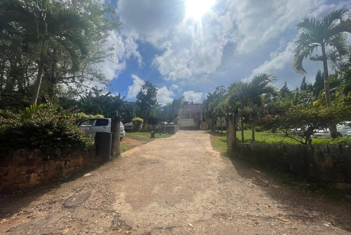 Thirteenth image of Land Part of Meldrum High in Alexandria, St. Ann, Jamaica - property is For Sale
