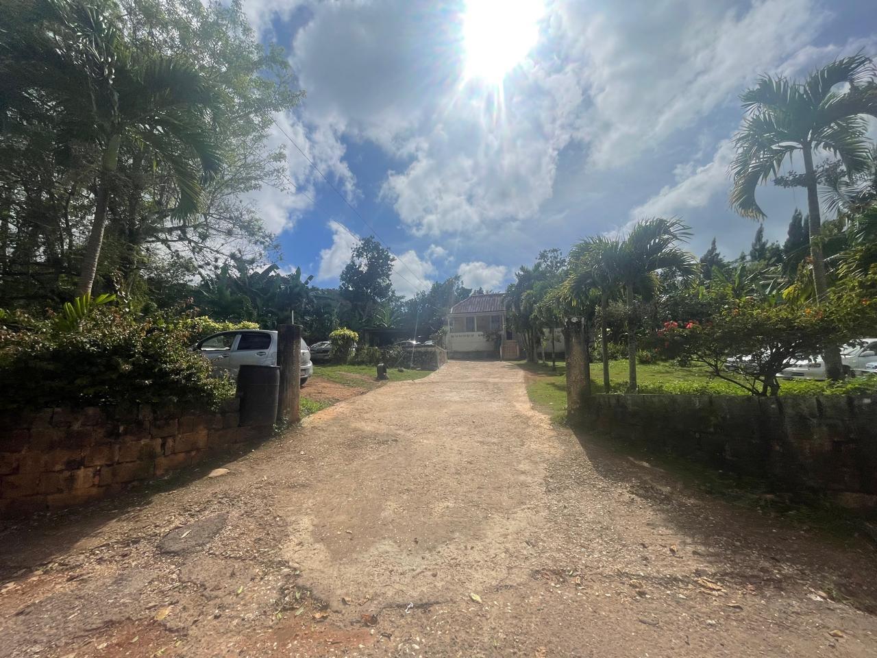 Thirteenth image of Land Part of Meldrum High in Alexandria, St. Ann, Jamaica - property is For Sale