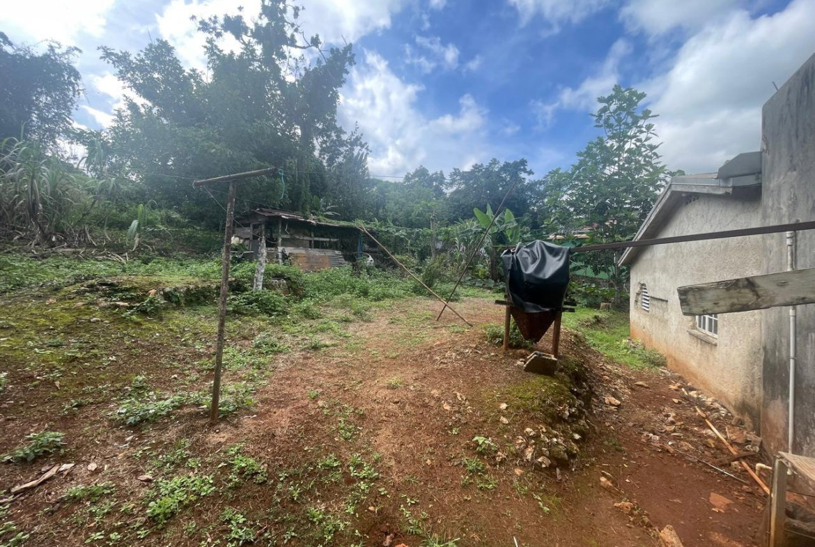 Fourteenth image of Land Part of Meldrum High in Alexandria, St. Ann, Jamaica - property is For Sale