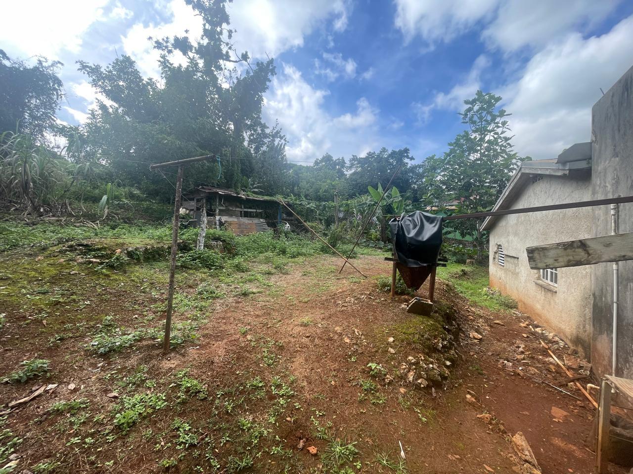 Fourteenth image of Land Part of Meldrum High in Alexandria, St. Ann, Jamaica - property is For Sale