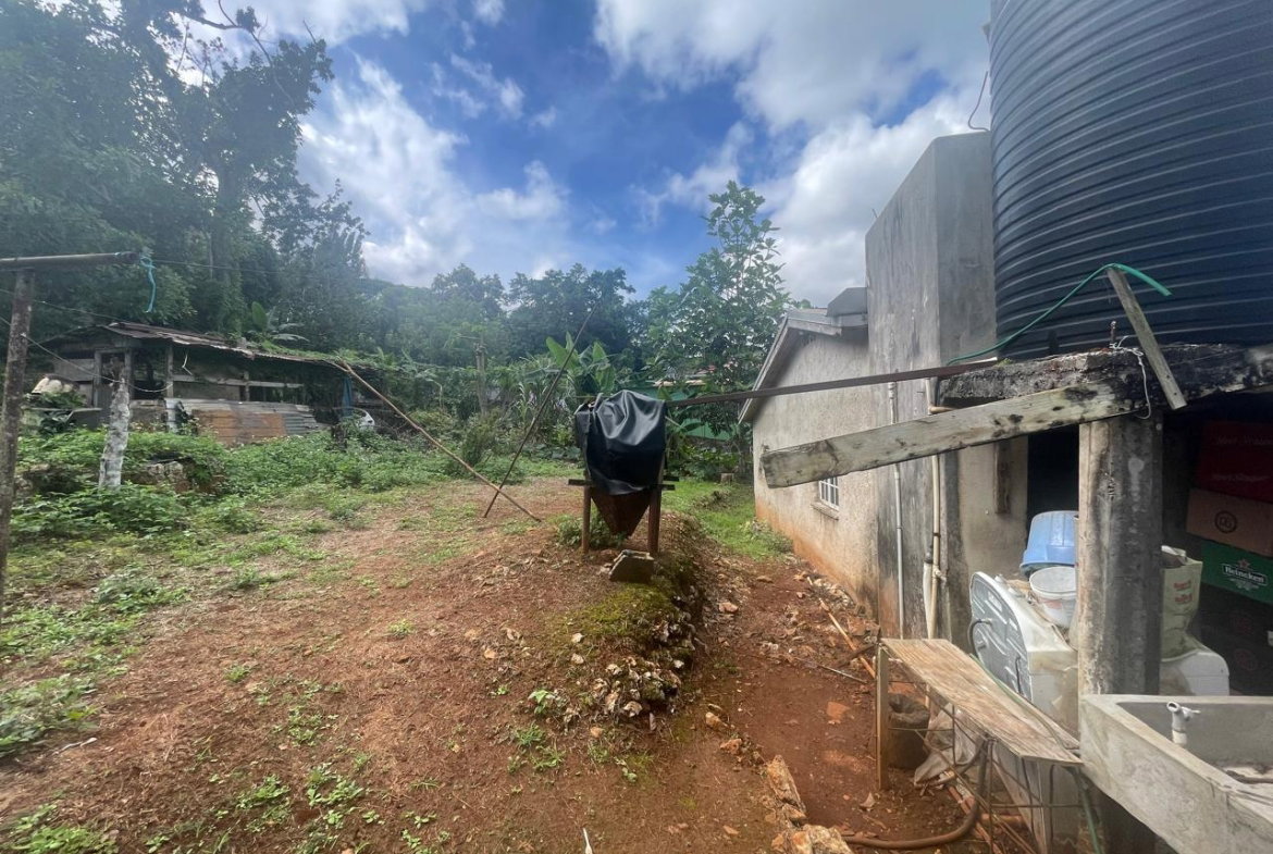 Fifteenth image of Land Part of Meldrum High in Alexandria, St. Ann, Jamaica - property is For Sale