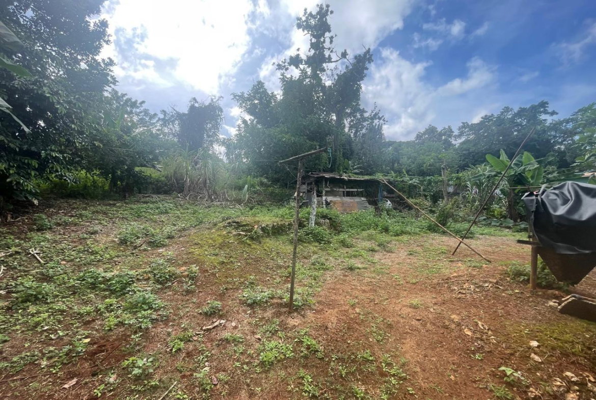 Sixteenth image of Land Part of Meldrum High in Alexandria, St. Ann, Jamaica - property is For Sale