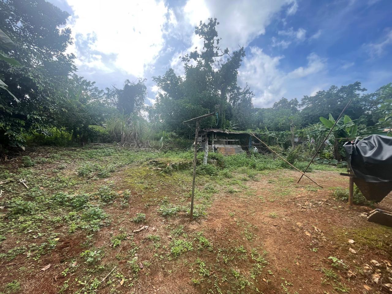 Sixteenth image of Land Part of Meldrum High in Alexandria, St. Ann, Jamaica - property is For Sale