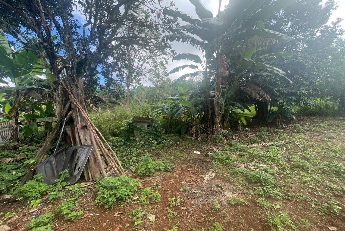 Seventeenth image of Land Part of Meldrum High in Alexandria, St. Ann, Jamaica - property is For Sale