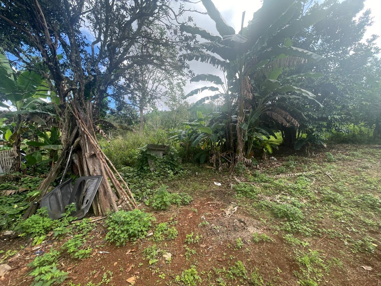 Seventeenth image of Land Part of Meldrum High in Alexandria, St. Ann, Jamaica - property is For Sale